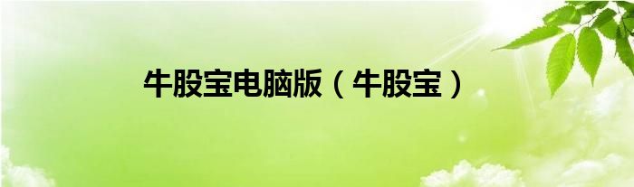 牛股寶電腦版（牛股寶）