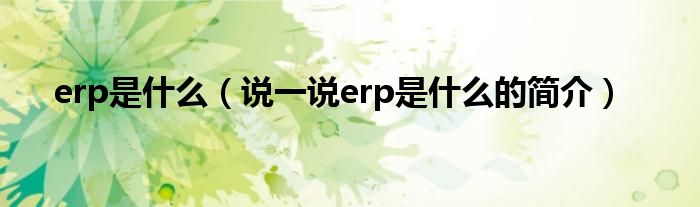 erp是什么（說一說erp是什么的簡介）