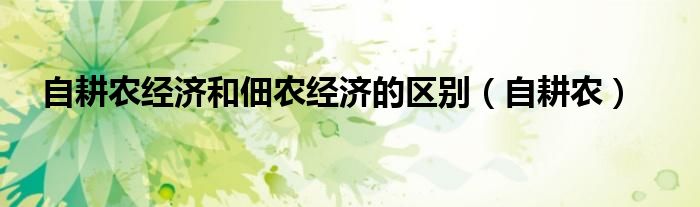 自耕農(nóng)經(jīng)濟(jì)和佃農(nóng)經(jīng)濟(jì)的區(qū)別（自耕農(nóng)）