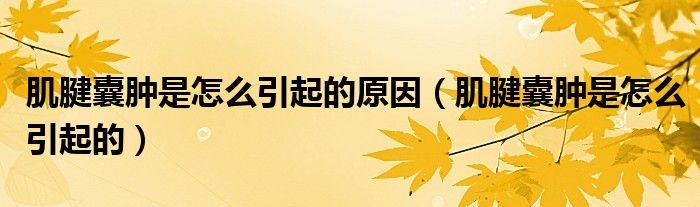 肌腱囊腫是怎么引起的原因（肌腱囊腫是怎么引起的）