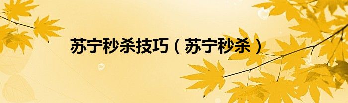 蘇寧秒殺技巧（蘇寧秒殺）
