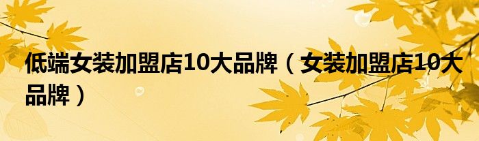 低端女裝加盟店10大品牌（女裝加盟店10大品牌）
