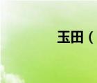 玉田（說(shuō)一說(shuō)玉田的簡(jiǎn)介）
