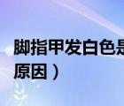 腳指甲發(fā)白色是什么原因（腳指甲發(fā)白是什么原因）