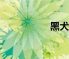 黑犬品種大全（黑犬）