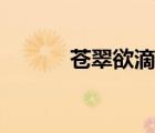 蒼翠欲滴仿寫詞語(yǔ)（蒼翠欲滴）