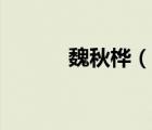 魏秋樺（說一說魏秋樺的簡介）