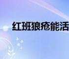 紅班狼瘡能活多久（紅班狼倉是什么病）