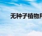 無種子植物用什么繁殖（無種子植物）