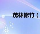 茂林修竹（說一說茂林修竹的簡介）