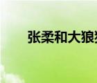 張柔和大狼狗第1415章小說（張柔）