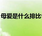 母愛是什么排比句三個（母愛是什么 排比句）