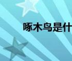 啄木鳥是什么app（bt螞蟻啄木鳥）