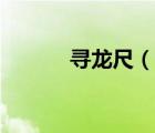 尋龍尺（說(shuō)一說(shuō)尋龍尺的簡(jiǎn)介）