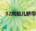 32周胎兒臍帶繞頸一周（32周胎兒多大）