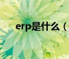 erp是什么（說一說erp是什么的簡介）