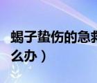蝎子蟄傷的急救處理方法是什么（蝎子蜇傷怎么辦）