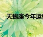 天蝎座今年運勢2023（天蝎座今年運勢）