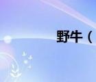 野牛（說一說野牛的簡介）
