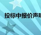 投標(biāo)中報(bào)價(jià)聲明怎么填（投標(biāo)聲明怎么填）
