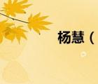 楊慧（說一說楊慧的簡介）