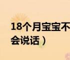 18個(gè)月寶寶不會(huì)說話怎么辦（18個(gè)月寶寶不會(huì)說話）