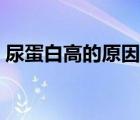 尿蛋白高的原因怎么確定（尿蛋白高的原因）