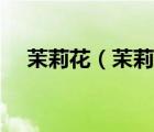 茉莉花（茉莉花的養(yǎng)殖方法和注意事項）