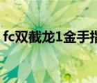 fc雙截龍1金手指代碼（誰(shuí)有雙截龍2金手指）