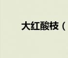 大紅酸枝（說一說大紅酸枝的簡介）