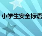 小學(xué)生安全標(biāo)語手工制作（小學(xué)生安全標(biāo)語）