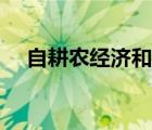 自耕農(nóng)經(jīng)濟(jì)和佃農(nóng)經(jīng)濟(jì)的區(qū)別（自耕農(nóng)）