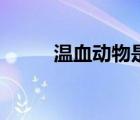 溫血動物是什么意思（溫血動物）