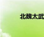 北魏太武帝是誰（北魏太武帝）