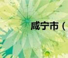咸寧市（說一說咸寧市的簡介）
