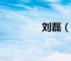 劉磊（說(shuō)一說(shuō)劉磊的簡(jiǎn)介）