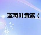 藍莓葉黃素（說一說藍莓葉黃素的簡介）