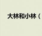 大林和小林（說(shuō)一說(shuō)大林和小林的簡(jiǎn)介）