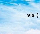 vis（說(shuō)一說(shuō)vis的簡(jiǎn)介）