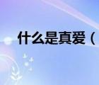 什么是真愛（說一說什么是真愛的簡介）