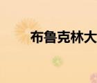 布魯克林大橋圖片（布魯克林大橋）