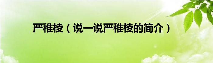 嚴(yán)稚棱（說(shuō)一說(shuō)嚴(yán)稚棱的簡(jiǎn)介）