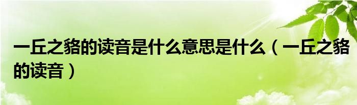 一丘之貉的讀音是什么意思是什么（一丘之貉的讀音）
