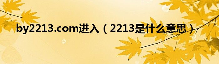 by2213.com進(jìn)入（2213是什么意思）