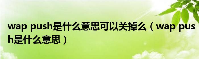 wap push是什么意思可以關(guān)掉么（wap push是什么意思）