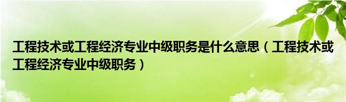 工程技術(shù)或工程經(jīng)濟(jì)專業(yè)中級職務(wù)是什么意思（工程技術(shù)或工程經(jīng)濟(jì)專業(yè)中級職務(wù)）