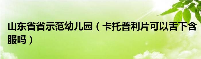 山東省省示范幼兒園（卡托普利片可以舌下含服嗎）