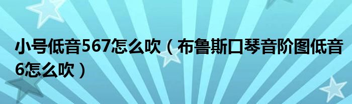 小號低音567怎么吹（布魯斯口琴音階圖低音6怎么吹）