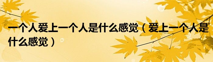 一個(gè)人愛上一個(gè)人是什么感覺(jué)（愛上一個(gè)人是什么感覺(jué)）
