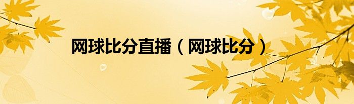 網球比分直播（網球比分）